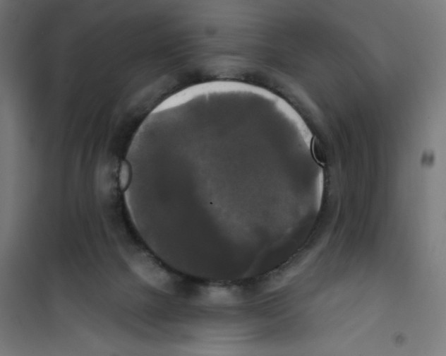 X0000100330073200807031245