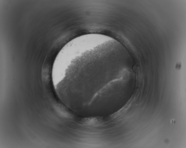 X0000100330074200807031245