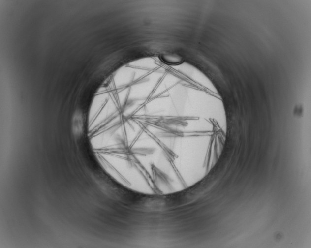 X0000100330075200807031245