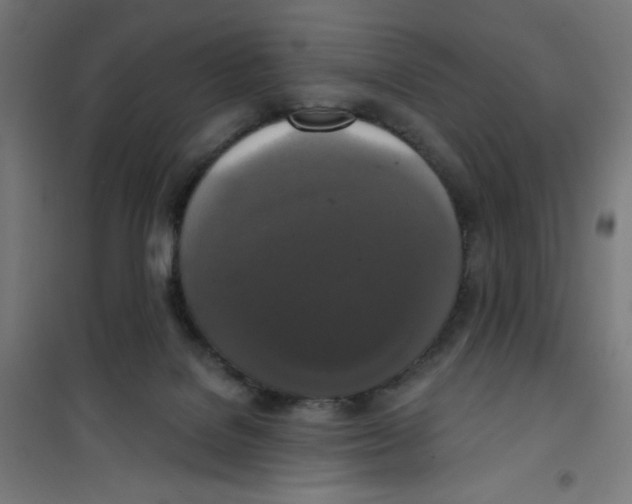 X0000100330076200807031245