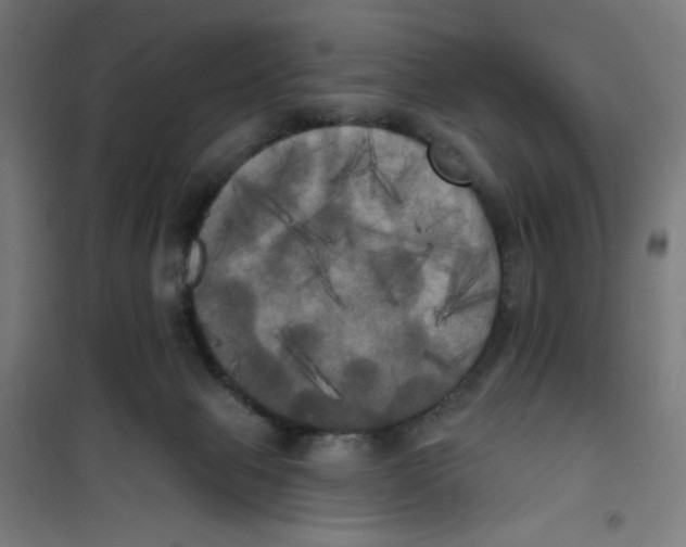 X0000100330077200807031245