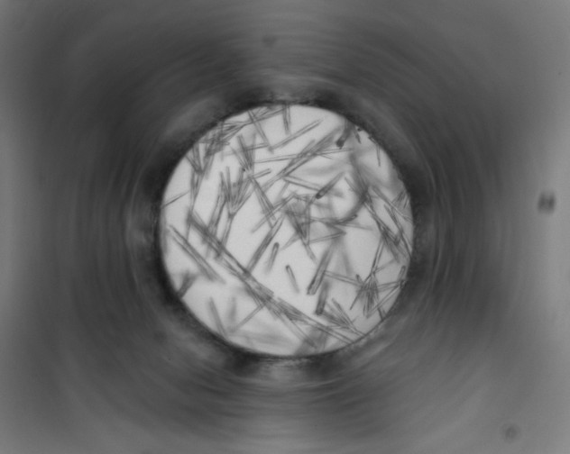 X0000100330078200807031245