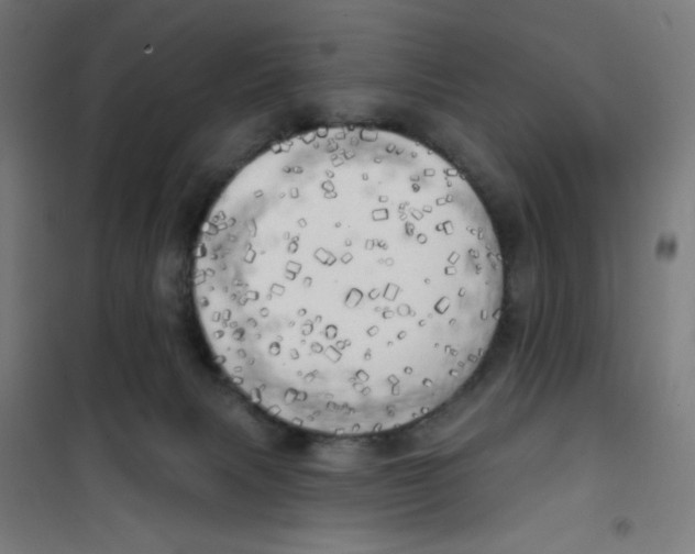 X0000100330079200807031245