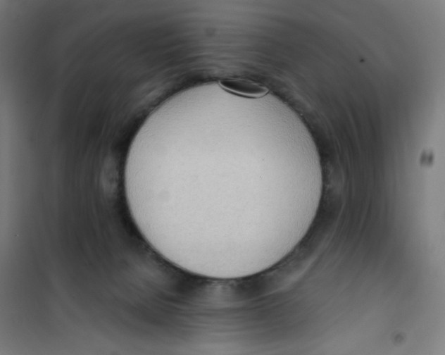 X0000100330080200807031245