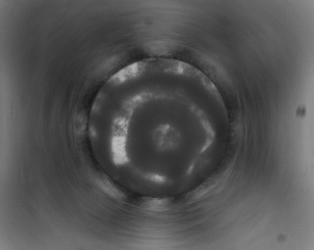 X0000100330081200807031245