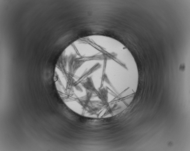 X0000100330082200807031245