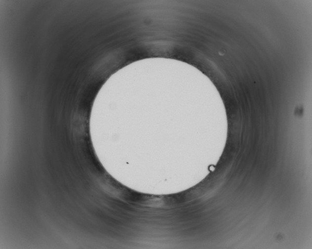 X0000100330083200807031245