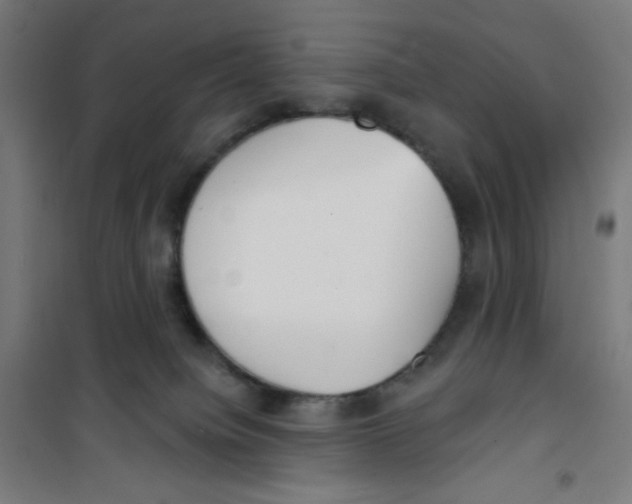 X0000100330084200807031245