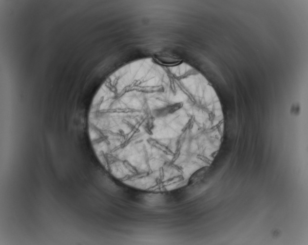 X0000100330085200807031245