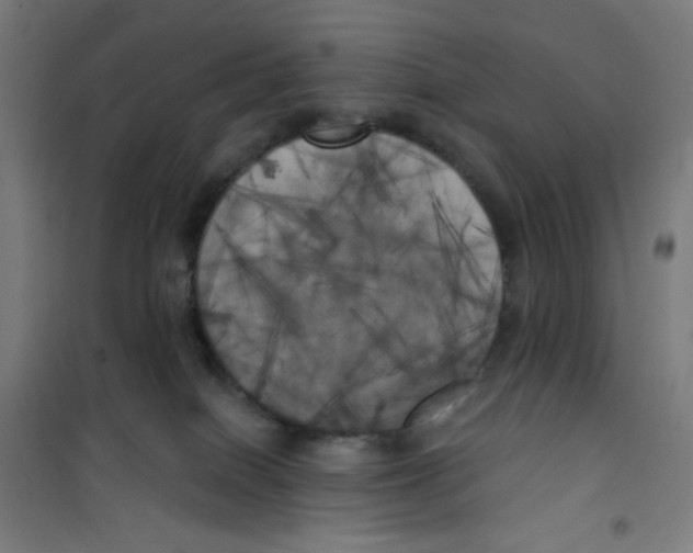 X0000100330086200807031245