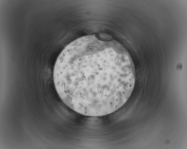 X0000100330087200807031245