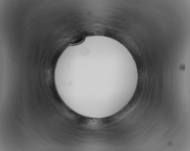 X0000100330088200807031245