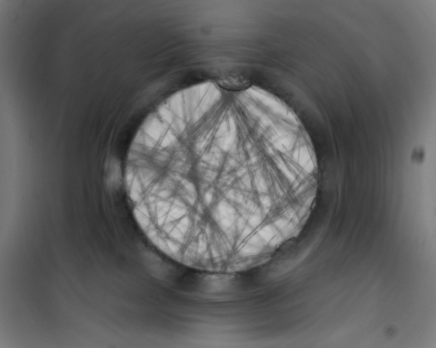 X0000100330089200807031245