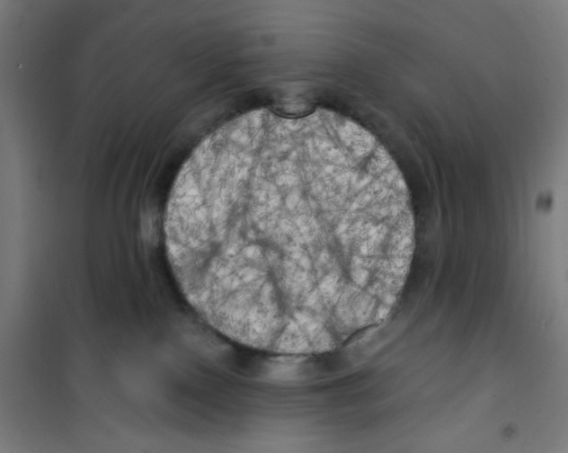 X0000100330090200807031245