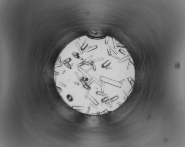 X0000100330091200807031245