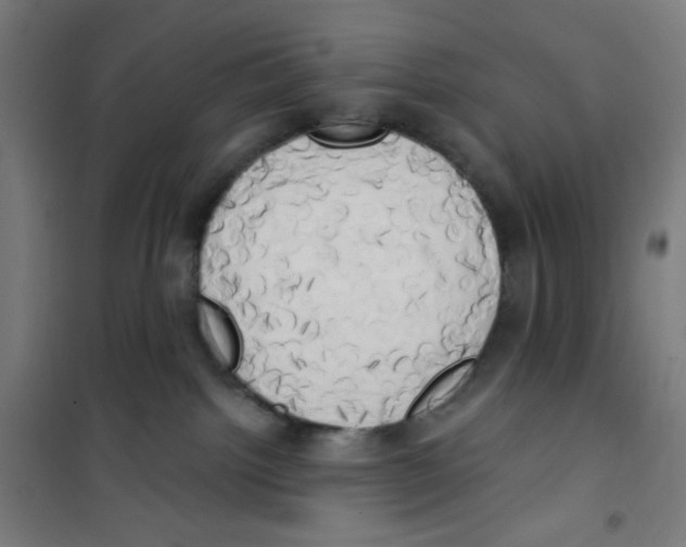 X0000100330092200807031245