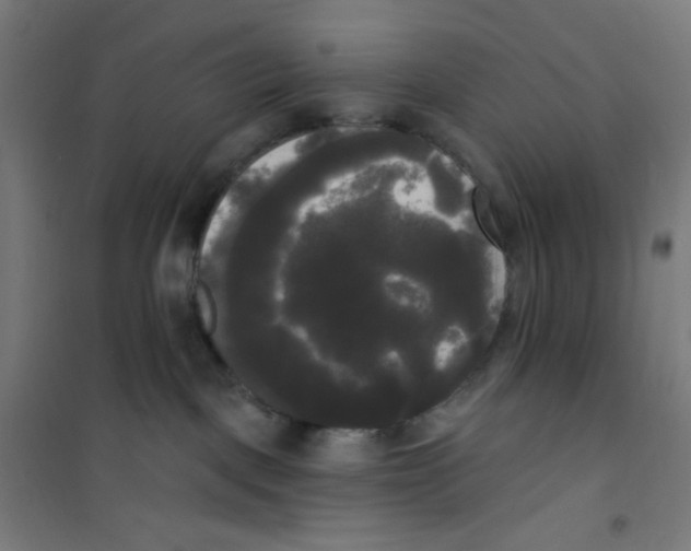 X0000100330093200807031245