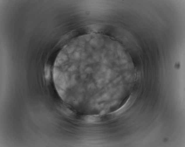 X0000100330094200807031245