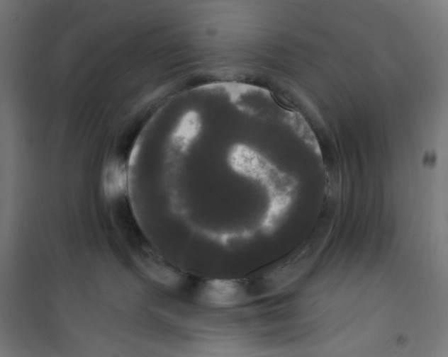 X0000100330095200807031245