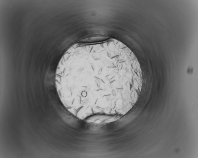 X0000100330096200807031245