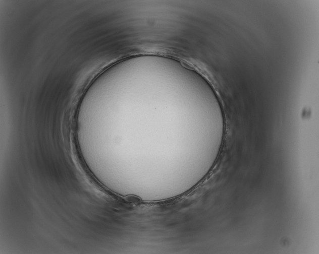 X0000100330097200807031244