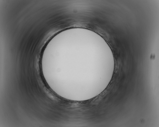 X0000100330098200807031244