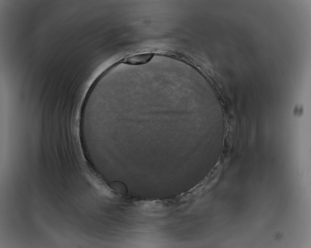 X0000100330100200807031244