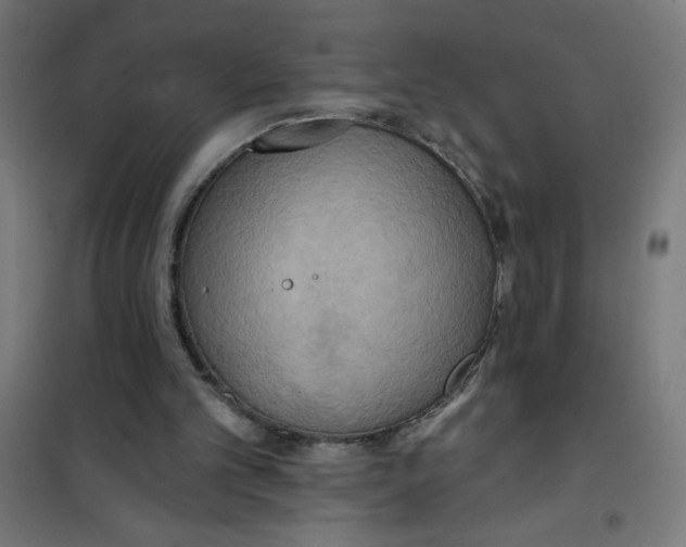 X0000100330101200807031244