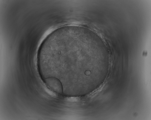 X0000100330102200807031244