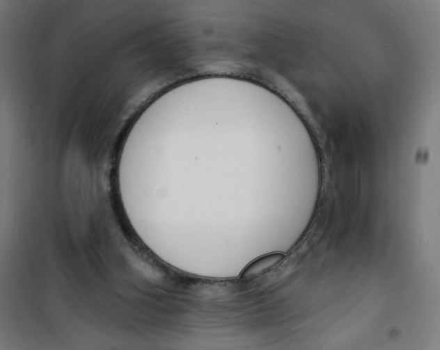 X0000100330106200807031244