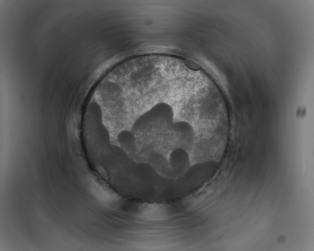 X0000100330107200807031244