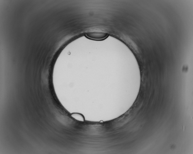 X0000100330108200807031244