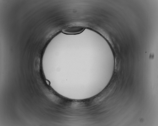 X0000100330109200807031244