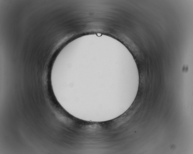 X0000100330112200807031244