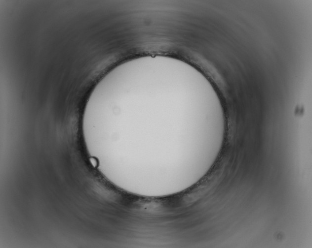 X0000100330113200807031244