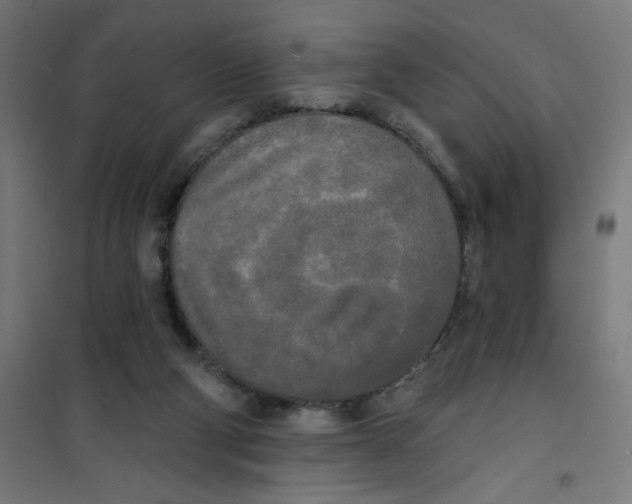 X0000100330114200807031244