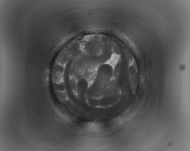 X0000100330115200807031244