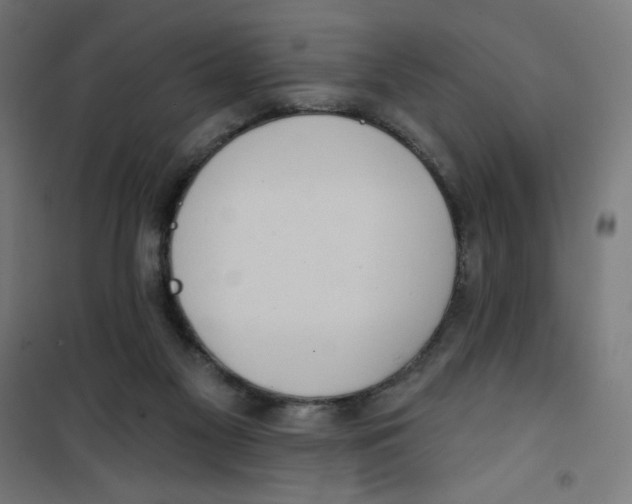 X0000100330117200807031244