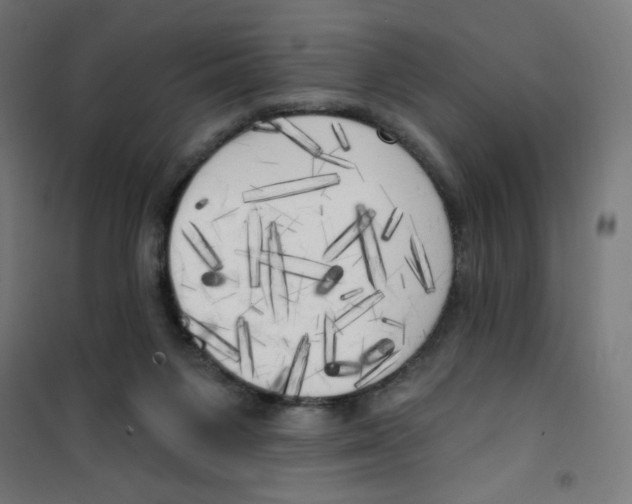 X0000100330119200807031244
