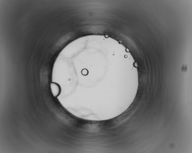 X0000100330120200807031244