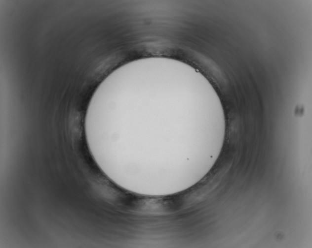 X0000100330121200807031244