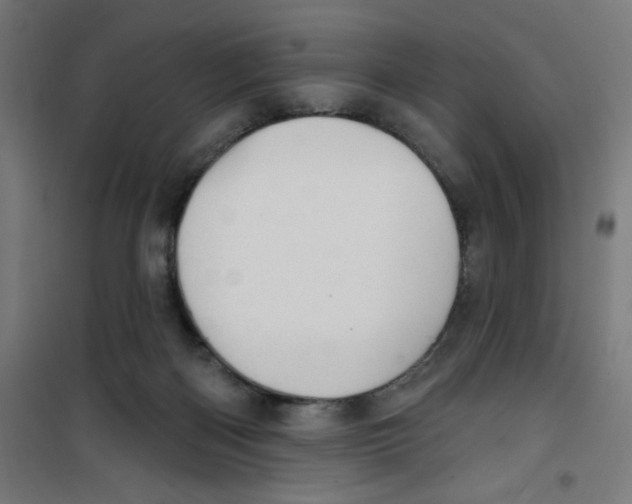 X0000100330122200807031244