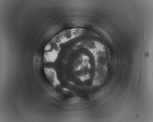 X0000100330123200807031244