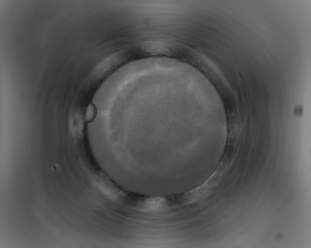 X0000100330124200807031244