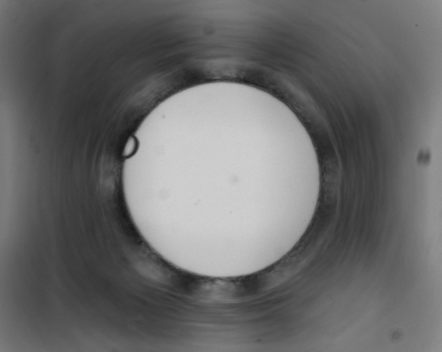 X0000100330125200807031244