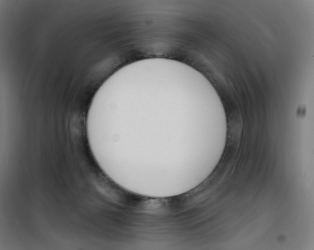 X0000100330126200807031244