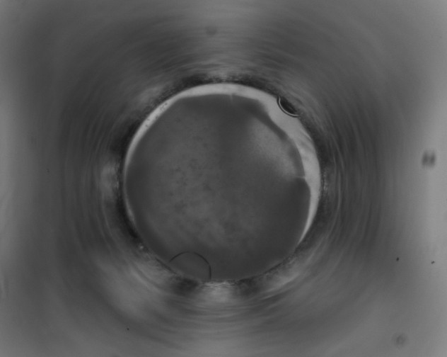 X0000100330127200807031244