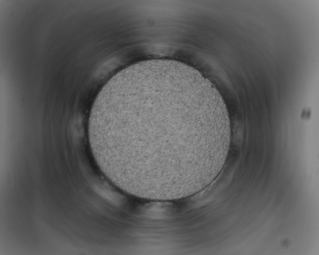 X0000100330128200807031244