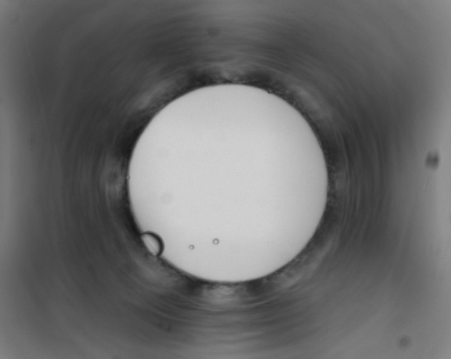 X0000100330129200807031244