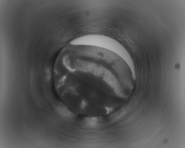 X0000100330131200807031244